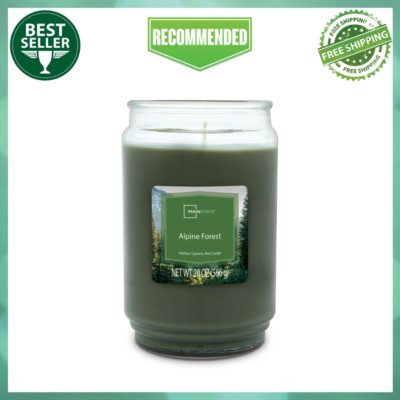(PACK OF 1) Mainstays Alpine Forest Scented Single-Wick Glass Jar Candle, 20 oz-image