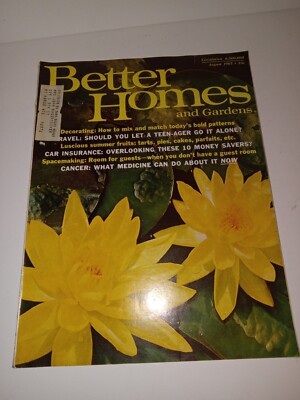 Better Homes & Gardens Magazine August 1965 Summer Desserts Decorating-image