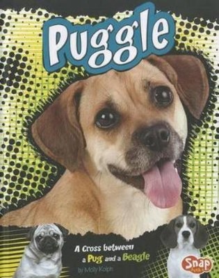 Molly Kolpin Puggle (Hardback) Designer Dogs (UK IMPORT)-image