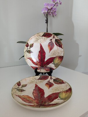 Pier 1 Imports Ironstone Asheville Fall Thanksgiving  Salad Luncheon Plates 2 Pc-image