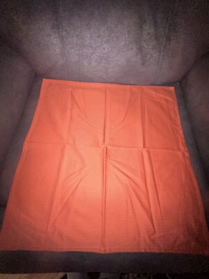 Pier 1 Imports Burnt Orange 20