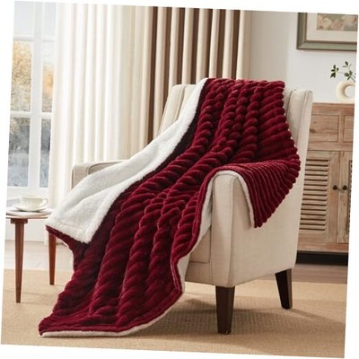  Electric Blanket Heated Throw, Super Cozy Luxury Throw Size 50