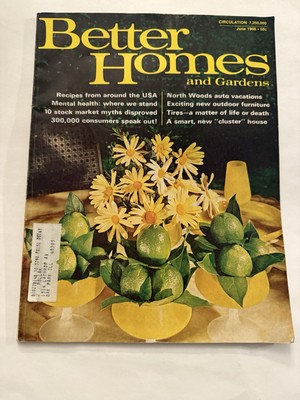 1968 JUNE Daisies BETTER HOMES & GARDENS MAGAZINE - FULL PAGE COLOR ADS  Vintage-image