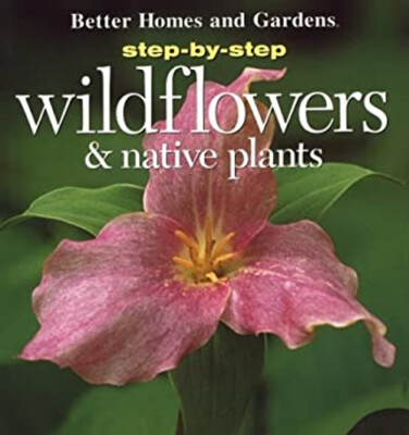 Step-by-Step Wildflowers and Native Plants Better Homes and Garde-image