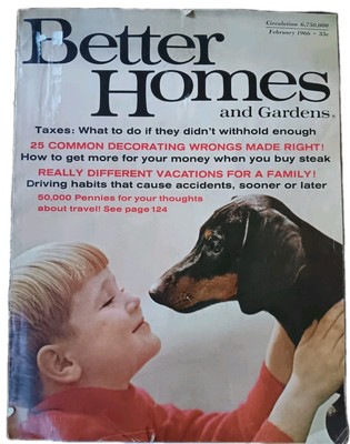 Vintage Better Homes & Gardens Home Furnishings Ideas For February 1966-image