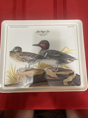 Design Imports Green Winged Teal Duck Melamine J.J. Audubon Tray 12