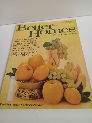 Better Homes & Gardens Magazine November 1968 60s Decor Contagious Diseases-image