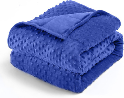 Minky Dot Weighted Blanket for Adults King Size 25 Lbs, Soft Cozy Heavy Blanket -image