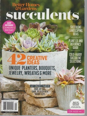Better Homes & Gardens Succulents 2020 Creative Ideas, Planters, Bouquets-image