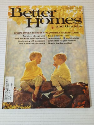 Better Homes And Gardens October 1967 THE MOST VITAL CONSUMER ISSUES OF TODAY-image