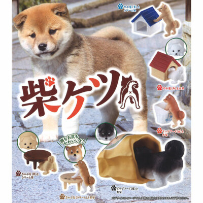 Shiba Inu Puppies Investigating Mini Figure Collection Cute Dogs Hide-and-Seek-image