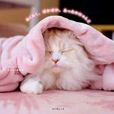 Warm and Cozy Cats in Comfort Photo Book-image