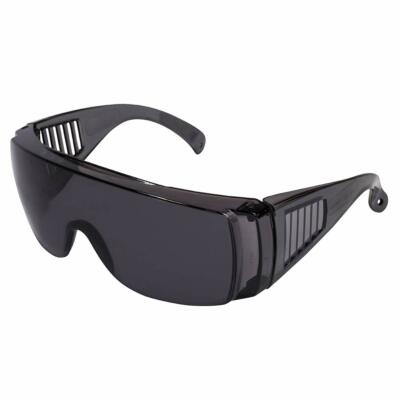 Birdz Visitor Safety Glasses Fit Over Rx Smoke Lens-image