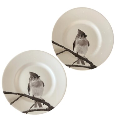 Pier 1 Titmouse Winter Snow Forest Bird Salad Dessert Plates Set 2-image