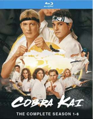 Cobra Kai  Complete seasons  1-6（S6 with part 1,2,3,all 15 episodes) blu-ray-image