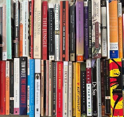 BUILD YOUR OWN LOT : Subversive Books/Cult Novels/Classic Lit : Bundle & Save!-image