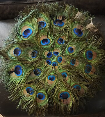 Vtg PIER ONE  Peacock Feather Counterpiece Placemat set of 6 size 15