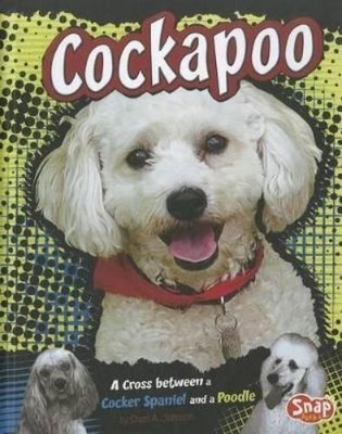 Sheri A Johnson Cockapoo (Hardback) Designer Dogs (UK IMPORT)-image