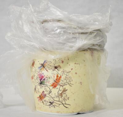 Lot of 5 Napco Imports 6.5