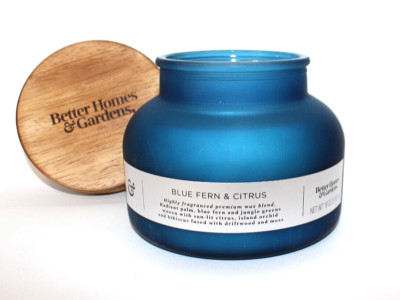 2 x Better Homes & Gardens 18oz Blue Fern and Citrus 2-Wick Bell Jar Candle Lot-image