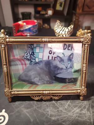 Edgar Berebi branch Enamel light blue Crystal Peridot Gold Plate Picture Frame -image