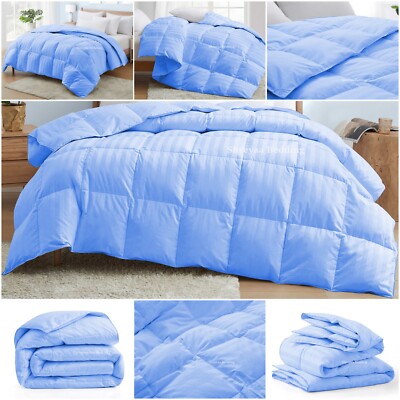 Luxury Premium Soft Stripes Sky Blue Comforter Goose Down Alternative Twin Size-image