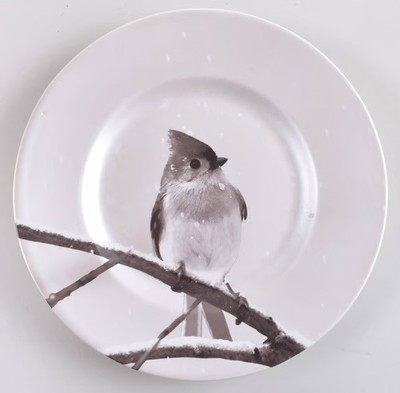 Pier 1 Titmouse Winter Snow Forest Bird Dessert Plates Pearlescent Set Of 6-image