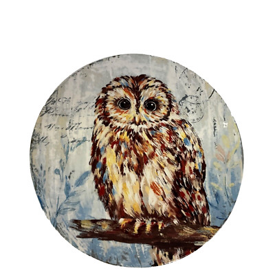 Pier 1 Imports Snow Owl Salad Plate Textured Ironstone Winter 8 3/4