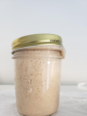San Francisco SOURDOUGH STARTER WELL OVER 200 YRS OLD VERY STRONG-image