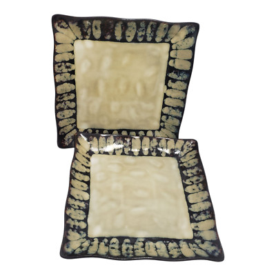 2 Pier 1 Imports Serenity Square Stoneware Dinner Plates Platter 10