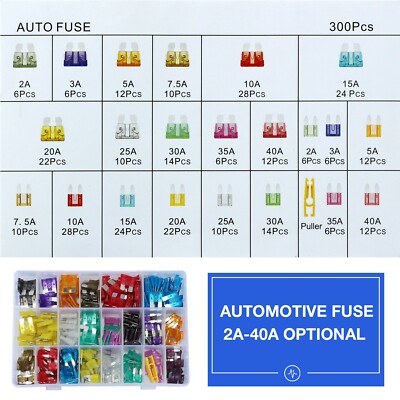 300pcs Automotive Fuse Assortment Kit Set Car Truck Motorcycle Fuses US Stock-image