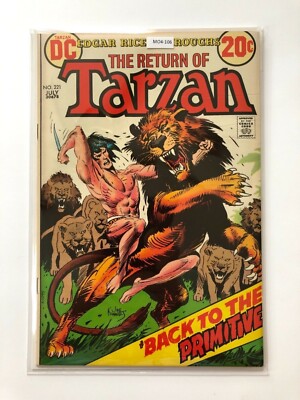 Tarzan #221  *Edgar Rice Burroughs*  [VF] DC Comic Book MO4-106-image