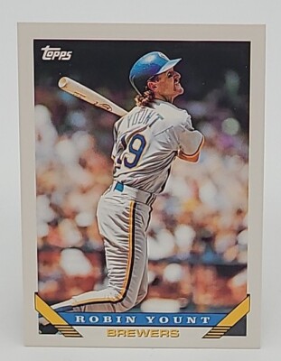 1993 Topps Baseball (251-500) Finish set UP TO 60% OFF-image
