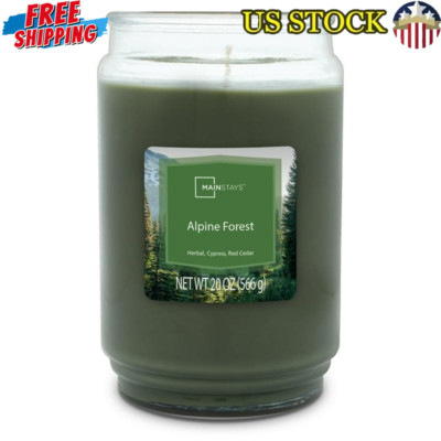 Alpine Forest Scented Candle Clean Burn Fresh Aroma Decorative Jar 20oz New-image