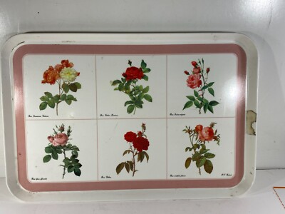 Design Imports LTD Italy Botanical Melamine Tray Plastic Rosa Bifera Gallica-image