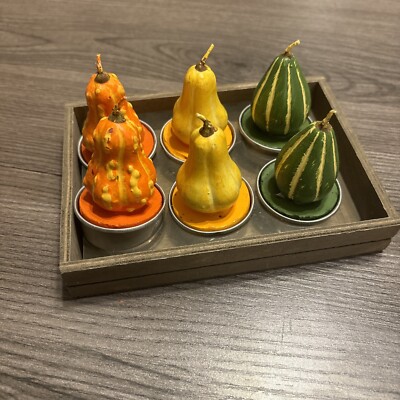 Jay Import Autumn Fall Thanksgiving Gourd Shaped Tea Light Candles Set of 6 NIB-image