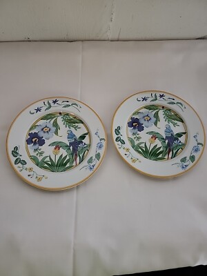 Pier Import ARA Round Parrot 🦜8 1/2