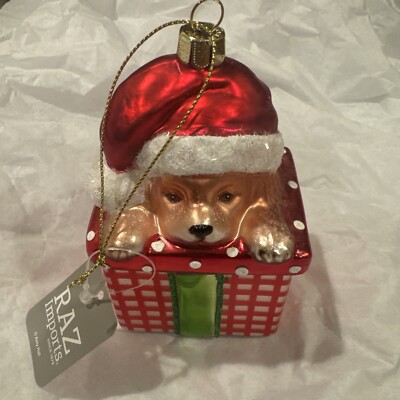 NWT Raz Imports 5” “Pup In A Present” Christmas glass Ornament- CUTENESS👀-image