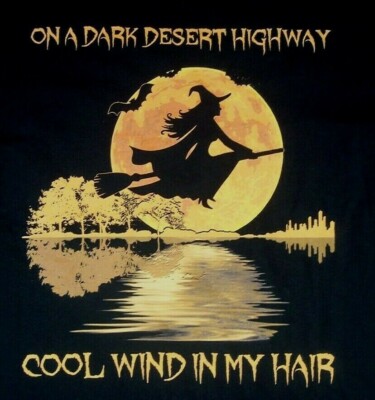 VTG 90's Eagles Parody On A Dark Desert HWY. Cool Wind In My Hair T Shirt XL NWT-image