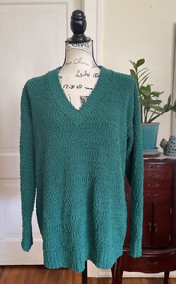 Style & Co Woman’s Green Teddy Boucle V Neck Soft & Cozy Sweater Size L-image