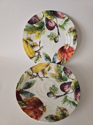 2 Pier 1 Imports 4 VERONA Fruits Ironstone Luncheon Salad 9