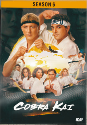 Cobra Kai  Complete series Season  (6, Part 1,2,3 ) ,all 15 episodes Slip case-image