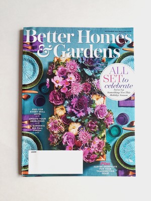 Better Homes & Gardens Magazine - November, 2021 Back Issue-image