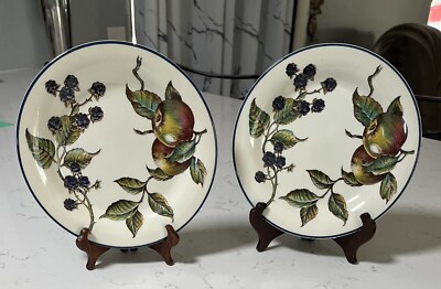 2 Pier 1 Macintosh Salad Plates England Angleterre Fruit Design 8
