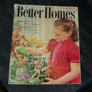 November, 1959 Better Homes and Gardens  Unusual House Plants You'll Like-image